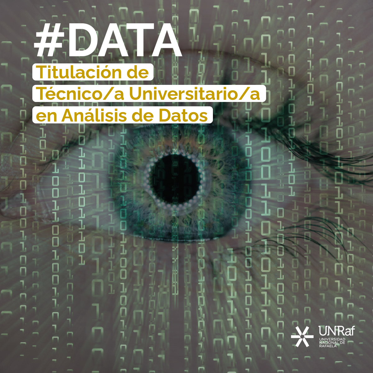 Análisis de Datos
